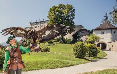 Vogelschau Burg.jpg